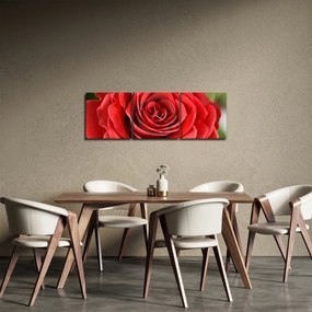 Tablou - Flori de trandafir (cu ceas) (90x30 cm)