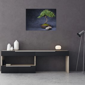 Tablou - Bonsai (70x50 cm)