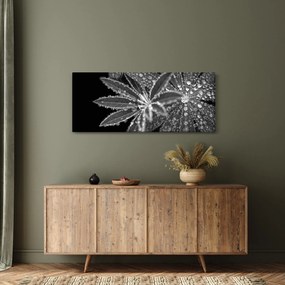 Tablou - Frunze cu picături (120x50 cm)
