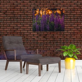 Tablou - Flori de lupin (70x50 cm)