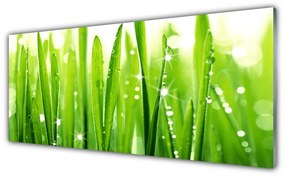 Tablouri acrilice Iarbă verde florale