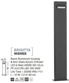 Stalp LED mediu pentru iluminat exterior IP65 BRIGITTA