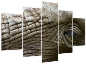 Tablou - Prim-planul ochiului de elefant vechi (150x105 cm)