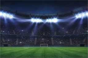 Tablou - Stadion de fotbal (90x60 cm)