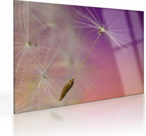 Tablou pe sticlă cu floarea norocul (70x50 cm)