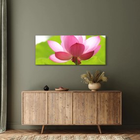 Tablou cu flori de lotus (120x50 cm)