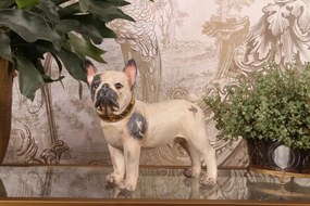 Statuetă decorativă din polirășină, buldog francez crem cu pete maro și zgardă aurie, 30 x 32 x 15,5 cm, „Bastien”