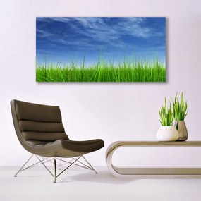 Tablou pe panza canvas Sky Grass Nature Albastru Verde