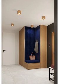 Spot Sollux SL.1279 HATI 1xGU10/10W/230V auriu