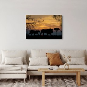 Tablou cu Safari (90x60 cm)