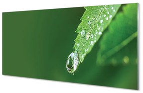 Tablouri acrilice leaf picătură de apă