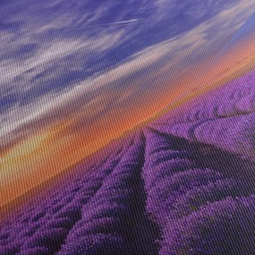 Tablou câmpului cu lavandă (70x50 cm)