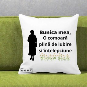 Cadou pentru Bunica - Perna Personalizata Bunica Mea Comoara Iubire Intelepciune Silueta cu Nepoata, 40x40 cm, Alba Mata, Husa Detasabila, Perna Inclusa, BEKZ®