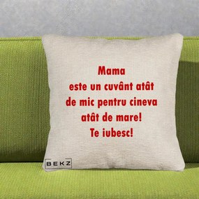 Cadou pentru Mama - Perna Personalizata Mama Cuvant Mic, 40x40 cm, Bej Canapea, Husa Detasabila, Perna Inclusa, BEKZ®