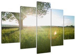 Tablou cu lunca în vară (150x105 cm)