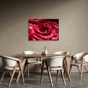 Tablou pe sticlă cu floarea trandafirului roșu (70x50 cm)