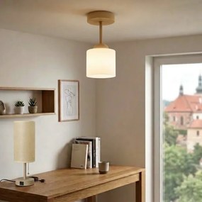 BRILAGI - Lustră aplicată LED RETRO GLASS 1xE27/60W/230V Ø 10 cm bej/albă