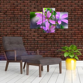 Tablou cu floarea detailat (90x60 cm)