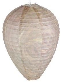 Repelent de viespi din hârtie – Esschert Design