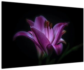 Tablou crinul (90x60 cm)