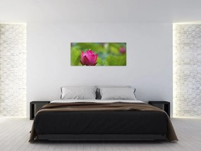Tablou - floare de apă (120x50 cm)