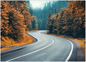Tablou - Drumul cu serpentine (70x50 cm)