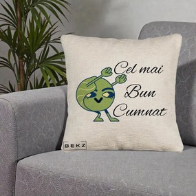 Cadou pentru Cumnat - Perna Personalizata Cel mai Bun Cumnat cu Personaj Funny Verde, 40x40 cm, Bej Canapea, Husa Detasabila, Perna Inclusa, BEKZ®