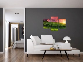 Tablou cu vie cu cerul color (90x60 cm)