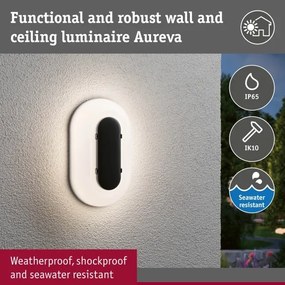 Paulmann 94957 - LED/18,5W IP65 Aplică de perete pentru exterior, dimmabilă ELUNOR 230V