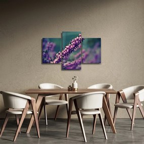 Tablou cu floare violetă (90x60 cm)