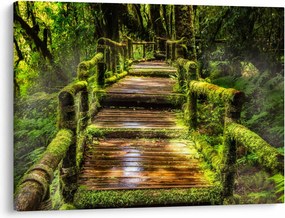 Tablou cu scări într-o pădure tropicală (70x50 cm)