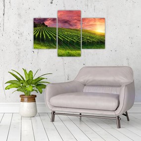 Tablou cu vie cu cerul color (90x60 cm)