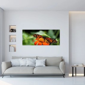 Tablou cu fluture pe floare (120x50 cm), în 40 de alte dimensiuni noi