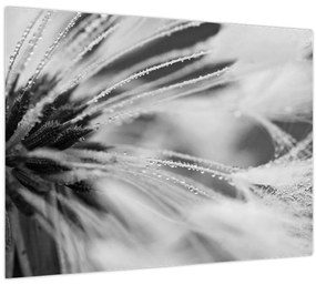 Tablou - Macro,alb-negru (70x50 cm)