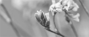 Tablou - Floare înflorită (120x50 cm)