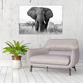 Tablou - Elefantul african II. (90x60 cm)