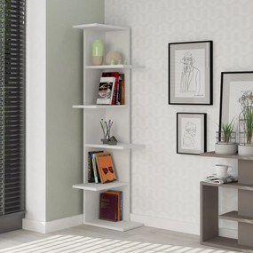 Biblioteca Saso White