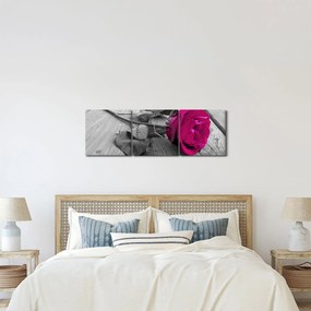 Tablou - Trandafir roz (cu ceas) (90x30 cm)