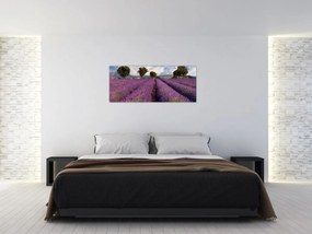 Tablou - câmp de lavandă și munți (120x50 cm)