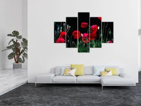 Tablou - Dansul macilor (150x105 cm)