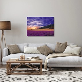 Tablou pe sticlă cu lunca cu lavandă (70x50 cm)