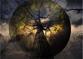 Tablou - Cerul enigmatic (70x50 cm)