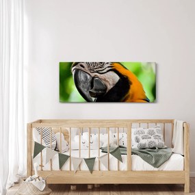 Tablou cu papagal (120x50 cm)