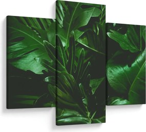 Tablou - Frunze de palmier (90x60 cm)