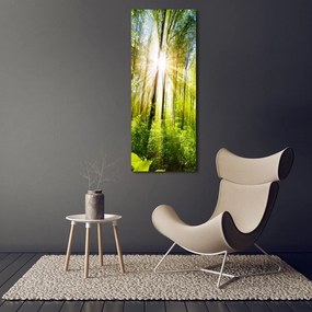 Tablou pe pânză canvas Soare în pădure