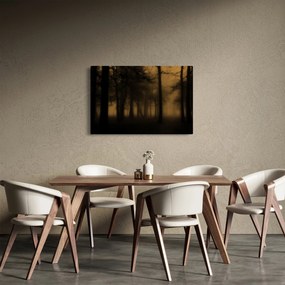 Tablou - Pădurea întunecată (90x60 cm)