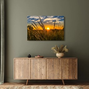 Tablou cu câmp în apus de soare (90x60 cm)
