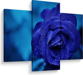 Tablou cu trandafir albastru (90x60 cm)