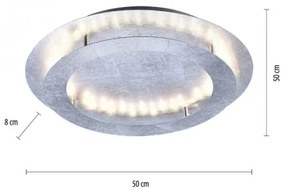 Plafonieră LED NEVIS LED/24W/230V Paul Neuhaus 9621-21