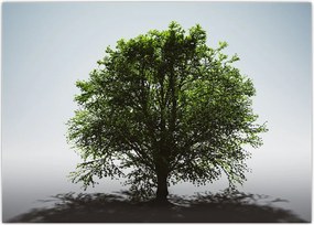 Tablou - Copacul singuratic (70x50 cm)